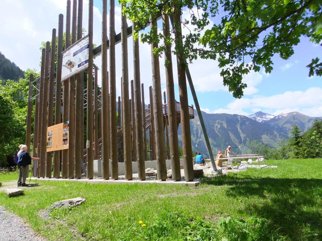 Apart-Pension Oberreiter Fusch an der Grossglocknerstrasse エクステリア 写真