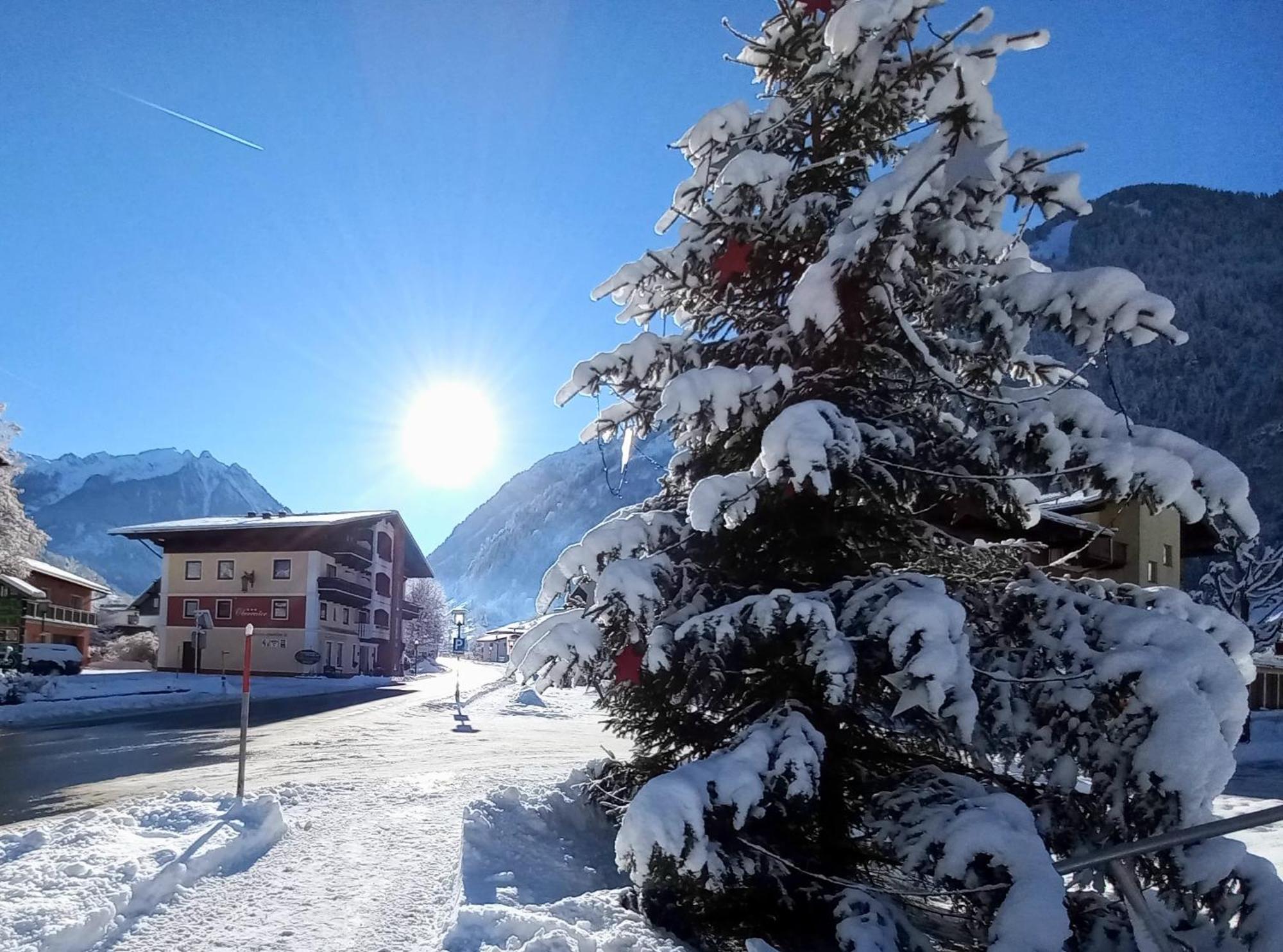 Apart-Pension Oberreiter Fusch an der Grossglocknerstrasse エクステリア 写真