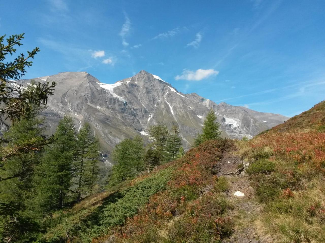 Apart-Pension Oberreiter Fusch an der Grossglocknerstrasse エクステリア 写真