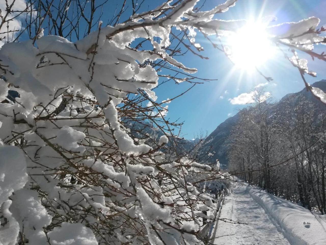 Apart-Pension Oberreiter Fusch an der Grossglocknerstrasse エクステリア 写真